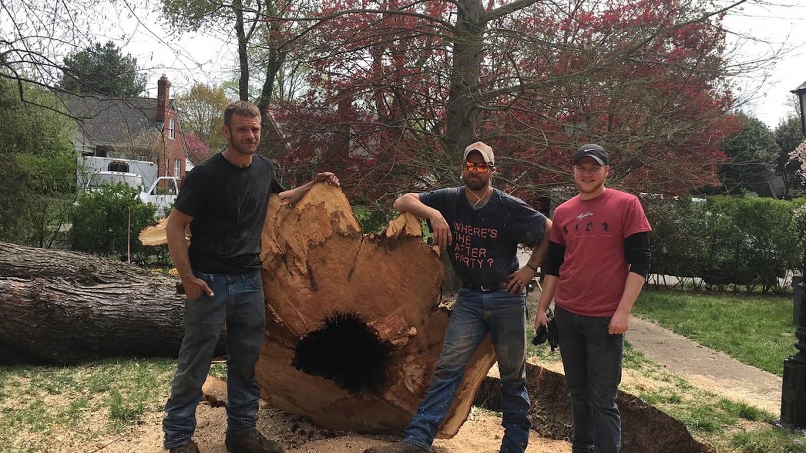 Three Thomas Tree Care crew members standing beside a large hollowed tree trunk section they have just removed, with the company truck behind them.