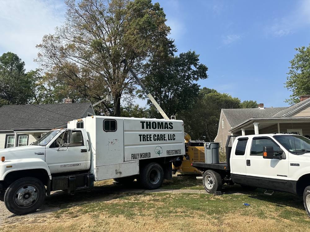 The branded Thomas Tree Care box truck with a wood chipper attached, parked beside a second company truck.